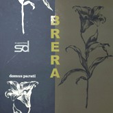 /album/galeria-de-fotos-papeis-de-parede/brera-jpg/